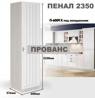 provans_p_6009 x_4
